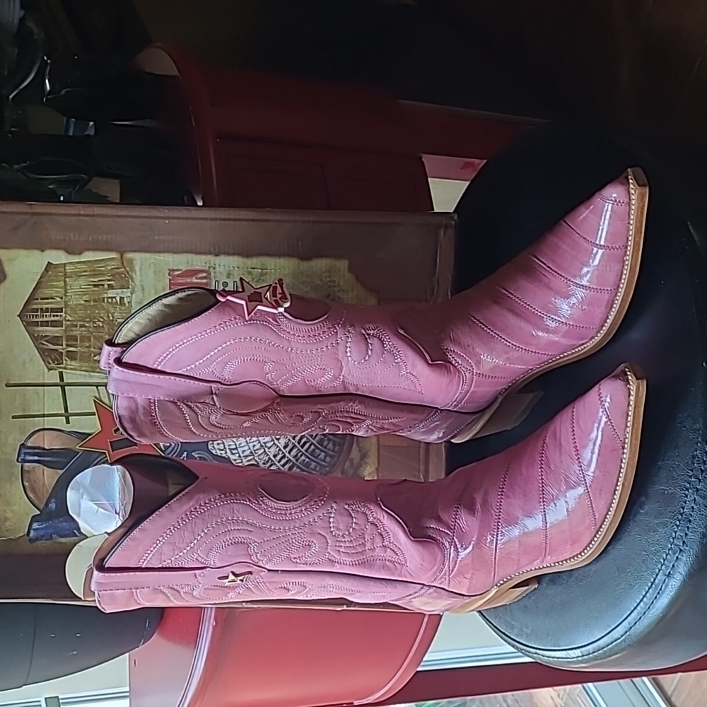 Los Altos Western Eel Boot